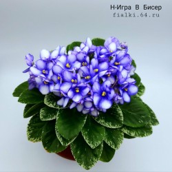 Н-Игра в Бисер (Бердникова)  